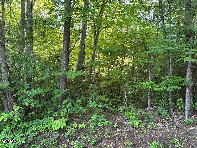 1st image of 1461 Ridgehigh Pass Lot 1461A