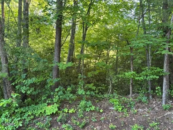 1461 Ridgehigh Pass Lot 1461A, Sevierville, TN 37876