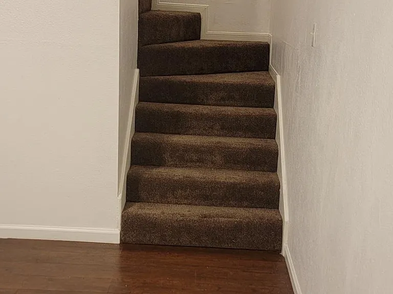 1429 Hawk Tree Dr — Photo 5