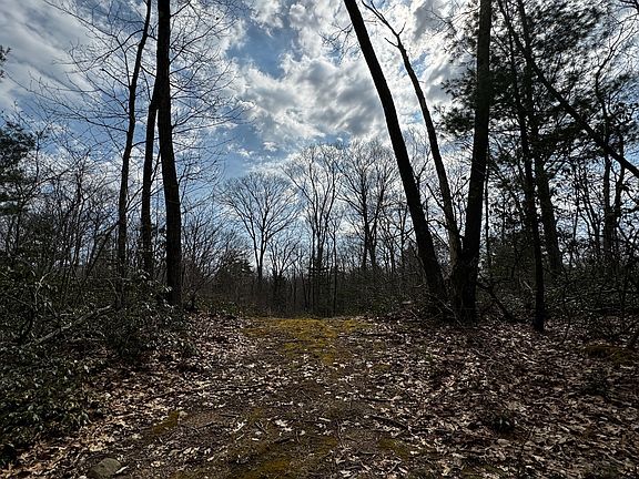 5th image of 355 Leadmine Rd