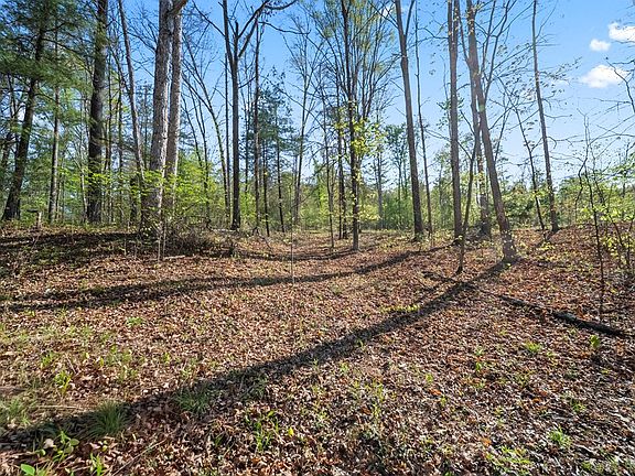 4th image of 1588 Debord Rd