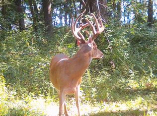 0 County Road 9, Arbela, MO 63432