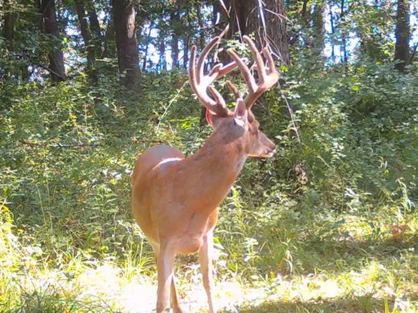 0 County Road 9, Arbela, MO 63432