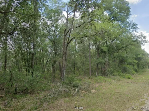 719 E Byrd Loop, Citrus Springs, FL 34434