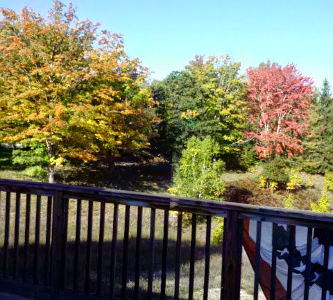 front yard