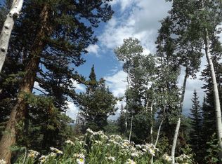 449 W Ski View Dr, Brian Head, UT 84719