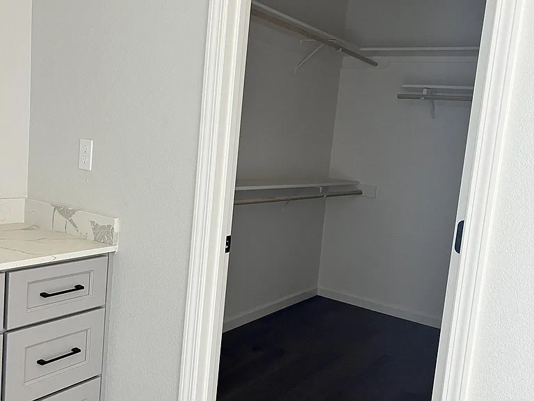 primary walk in closet