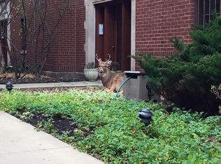 1325 W Addison St APT 2A, Chicago, IL 60613