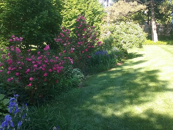 Park like gardens in back