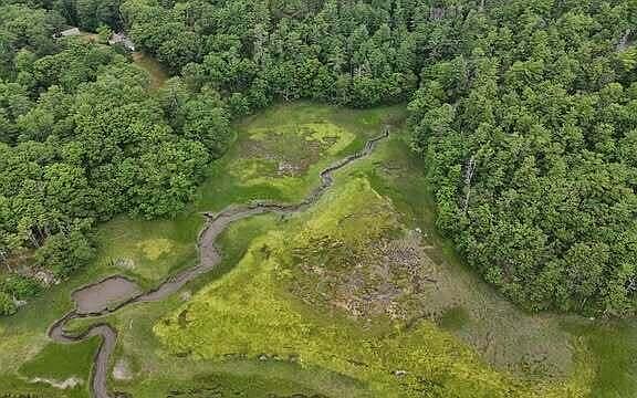 5th image of Lot 12 Rogers Neck