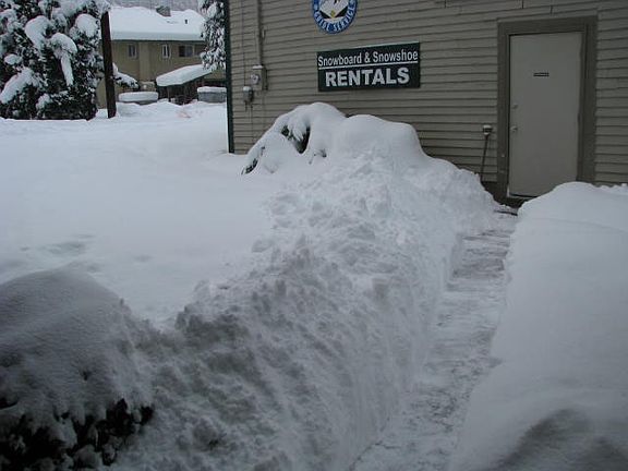 4th image of 9996 Forest St