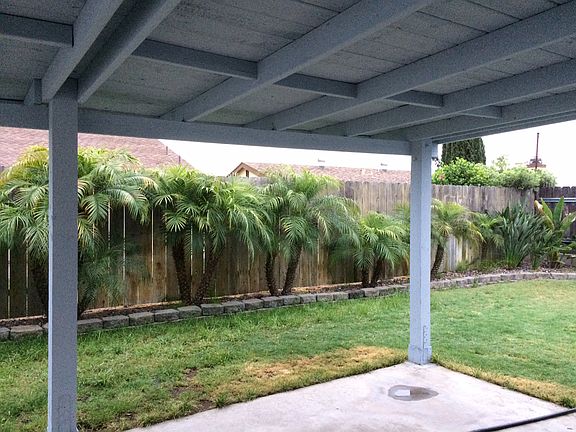 Tropical back yard