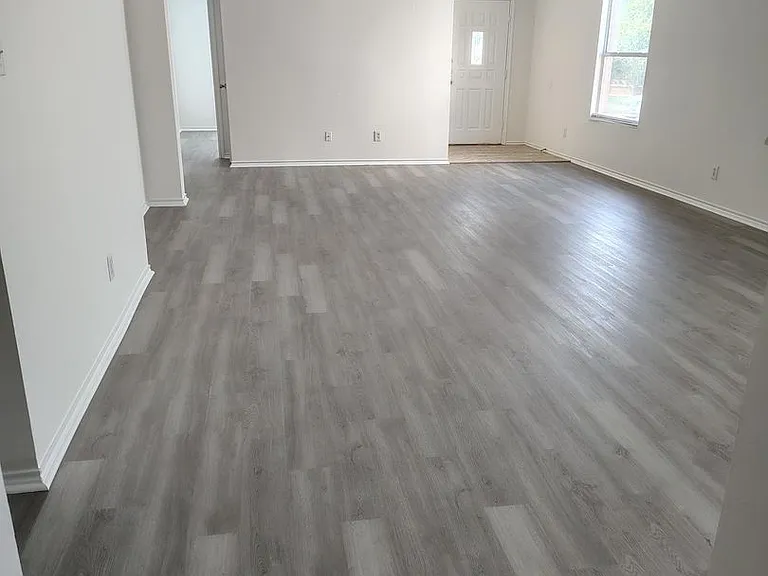 25714 Gold Yarrow — Photo 5