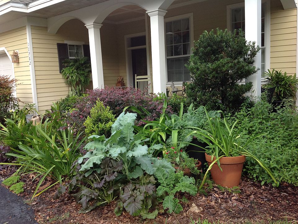 Garden small enough to enjoy