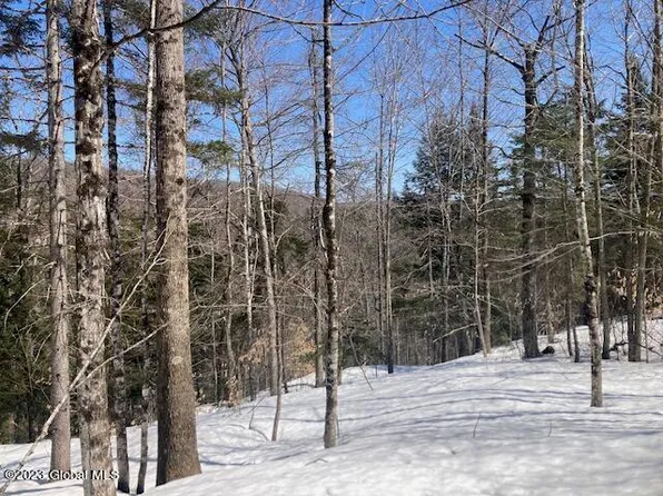 L12.000 Northwoods Club Road, Minerva, NY 12851