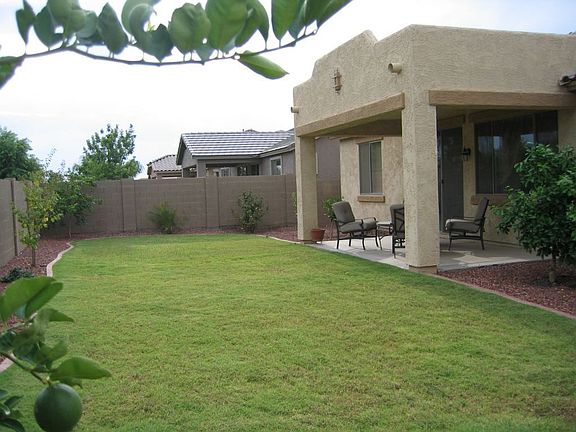 Big Backyard