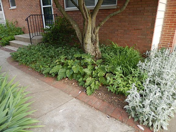 4th image of 165 Westview Ave