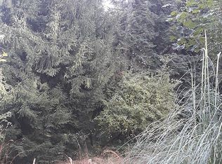 510 Meade Hill Rd, Glenoma, WA 98336