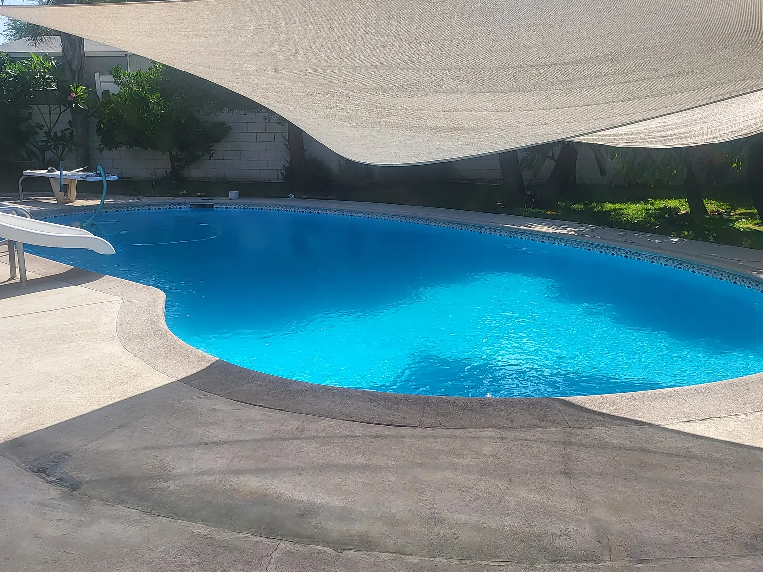 3 bed, 1500 sqft, $3,400 — Photo 3