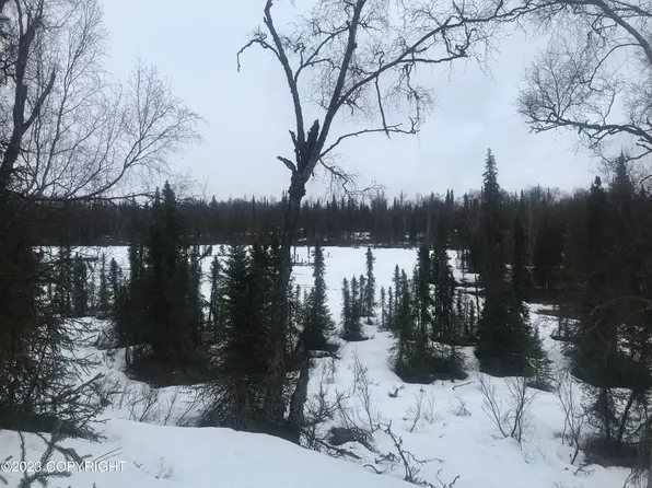 17920 Pauline St, Ninilchik, AK 99639