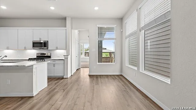 12811 Arya Way — Photo 13