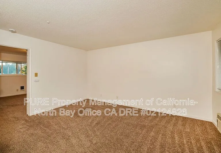 555 Dexter St #B — Photo 13