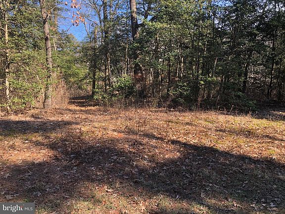 5th image of 20 Chrystal Rd