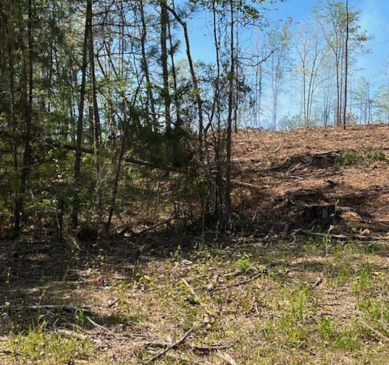 1st image of Highway 84 Tract E