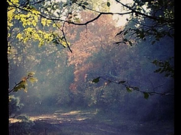 golf trail beside house