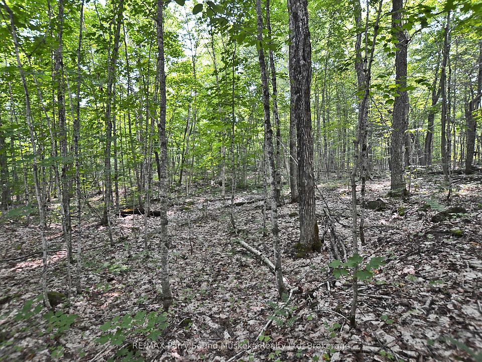 1st image of 0 Lyndsey Ln #2