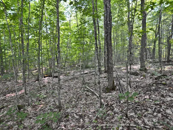 0 Lyndsey Ln #2, McKellar, ON P2A 0B5