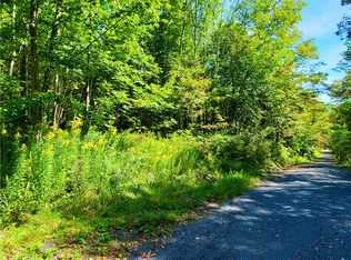 Silas Lake Rd, Fleischmanns, NY 12430