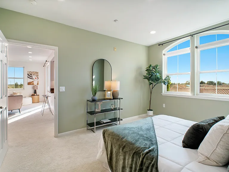 49002 Cinnamon Fern Cmn #402 — Photo 28