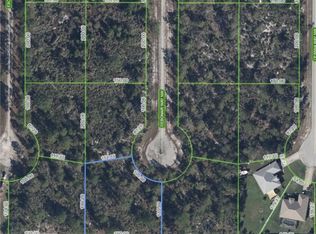 225 Debonair Way NW, Lake Placid, FL 33852
