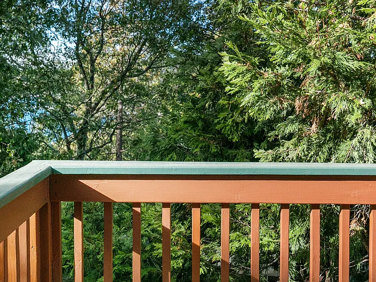 29184 Lakebrook Spur — Photo 18