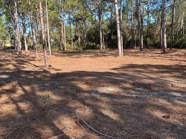 115 Plover Ct, Carrabelle, FL 32322