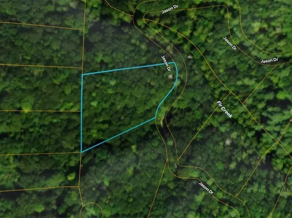 206 Dowel Cir, Ellijay, GA 30540