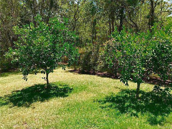4th image of 5 Cocoplum Ct N