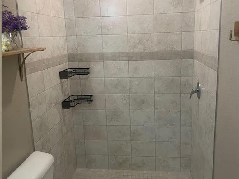 Main bathroom shower