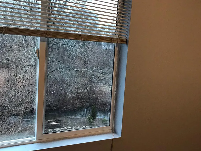 Guest bedroom view.