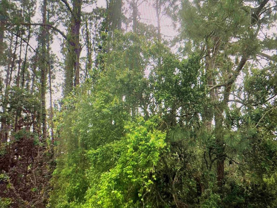 1st image of 2372 Highway 98 E