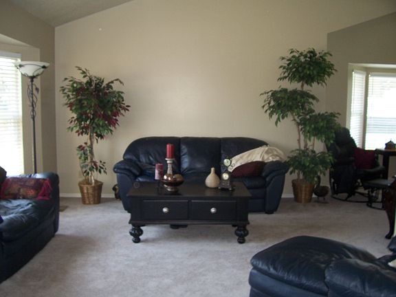 Living room/dining next room