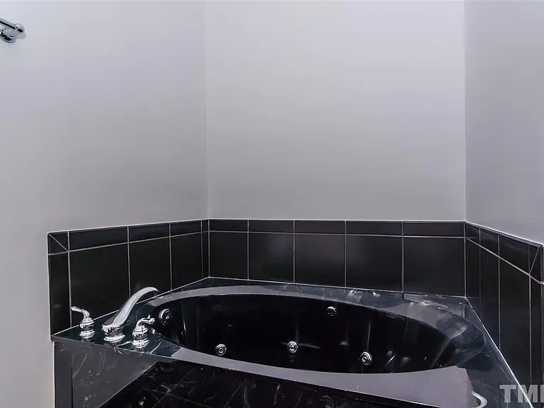 317 W Morgan St #308 — Photo 14