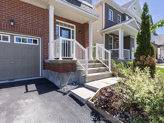 4th image of 12 Oxalis Cres