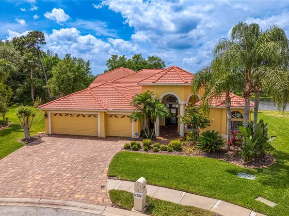 17922 Arbor Haven Dr, Tampa, FL 33647