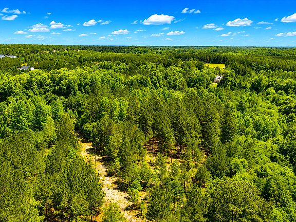 4th image of 183 Henry Elliott Ln Lot 1