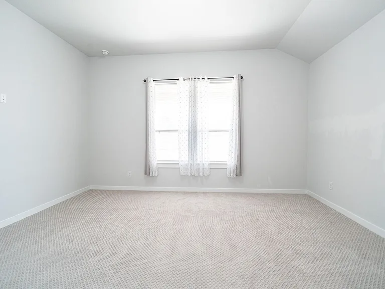 24819 Yellow Spruce Cir — Photo 16
