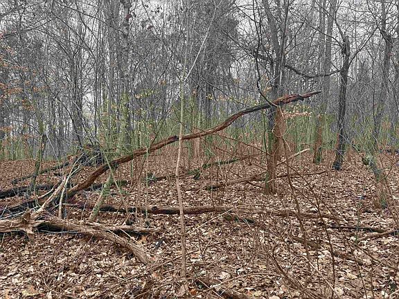 5th image of Campton Rd