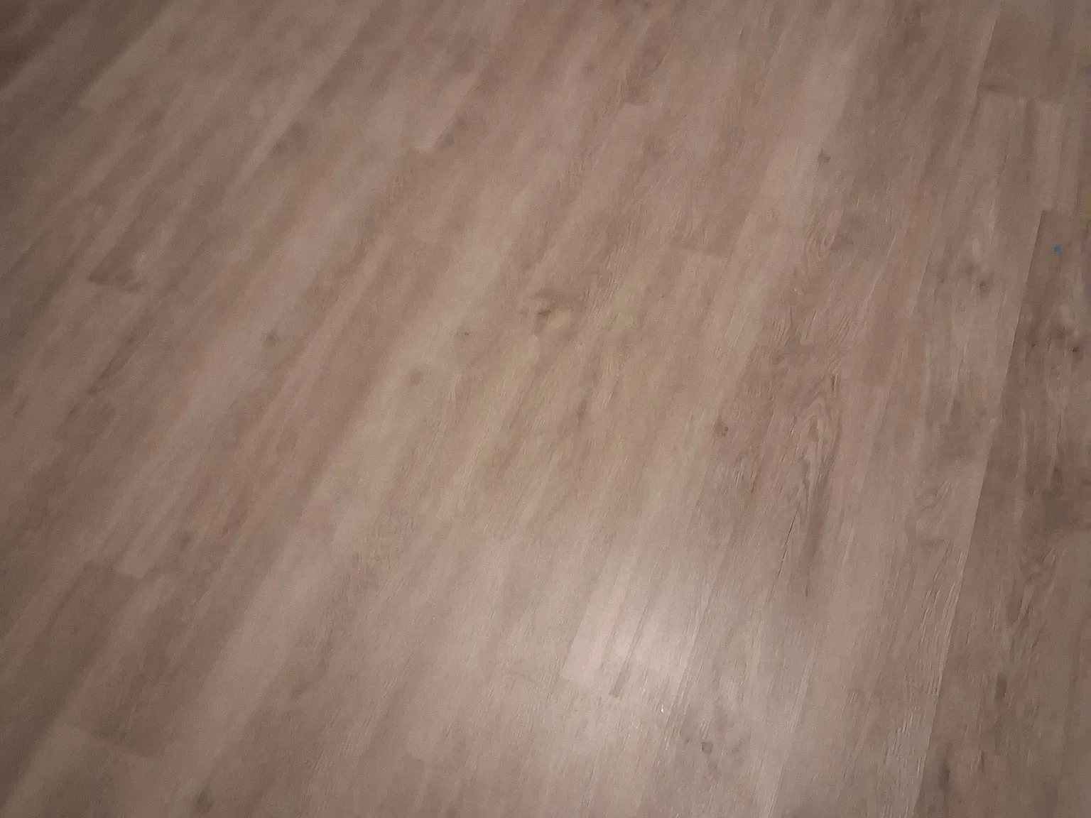 1 bed, 800 sqft, $825 — Photo 2