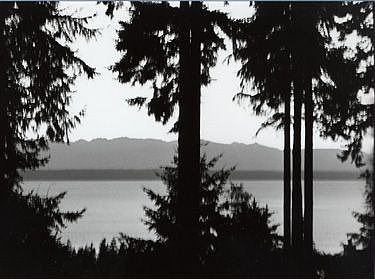 Western View